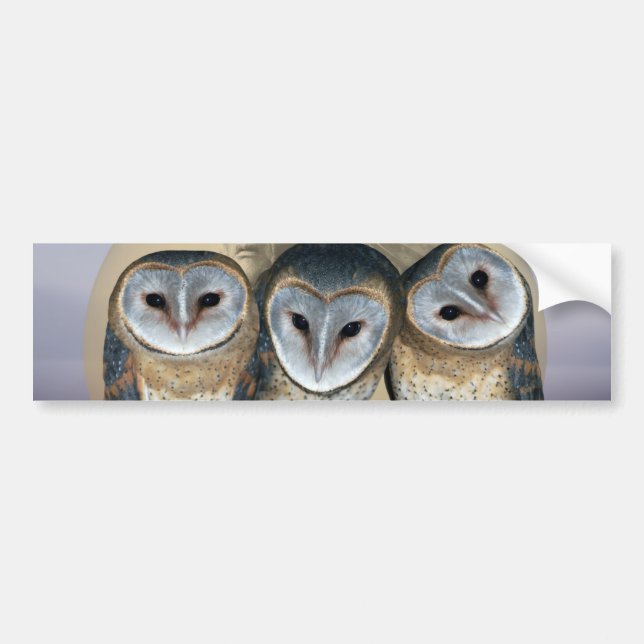 Sacred Owl North American Indian Bumper Sticker (Front)