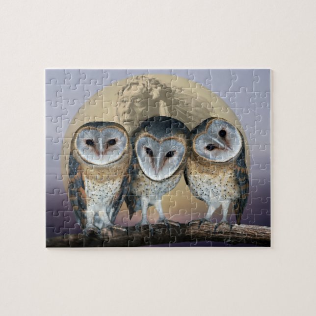 Sacred Owl North American Indian Jigsaw Puzzle (Horizontal)