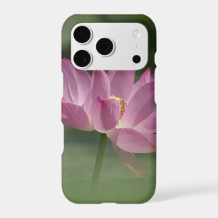 Sacred Pink Lotus Blossom - Serene Zen Art for Med