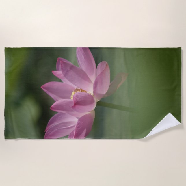 Sacred Pink Lotus Blossom - Serene Zen Art for Med Beach Towel (Front)