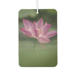 Sacred Pink Lotus Blossom - Serene Zen Art for Med Car Air Freshener