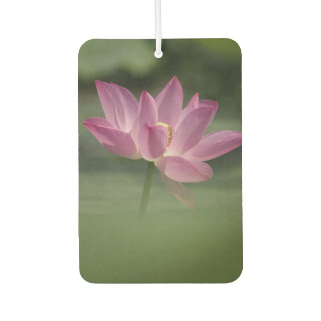 Sacred Pink Lotus Blossom - Serene Zen Art for Med Car Air Freshener (Front)