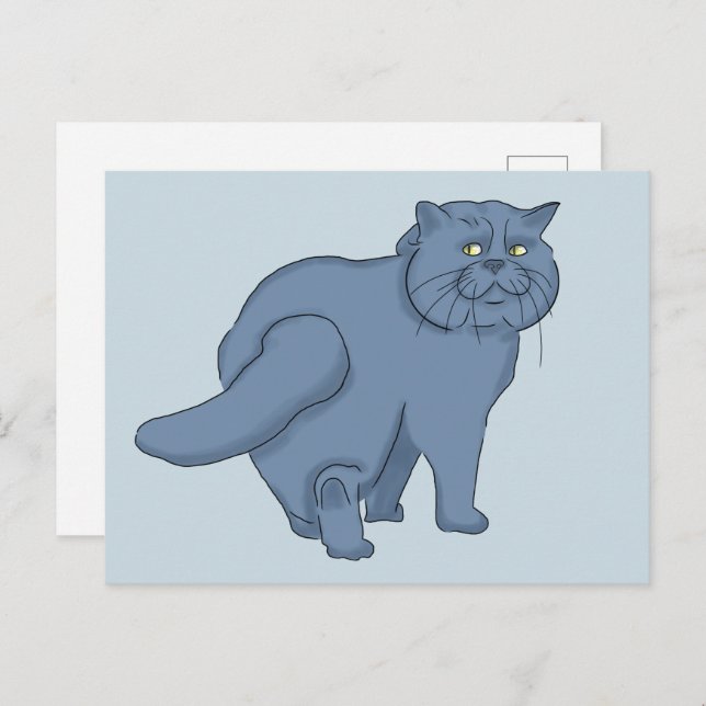 Sad cat. British cat  Postcard (Front/Back)