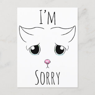 Sad Cat Face: I'm Sorry Postcard