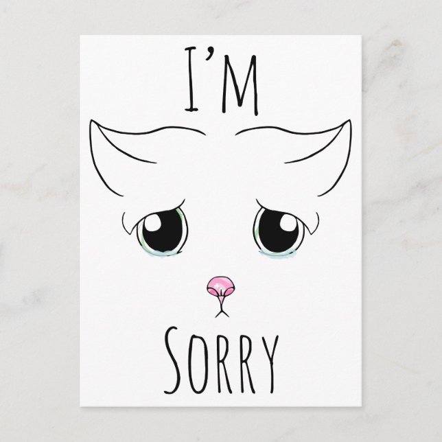 Sad Cat Face: I'm Sorry Postcard (Front)