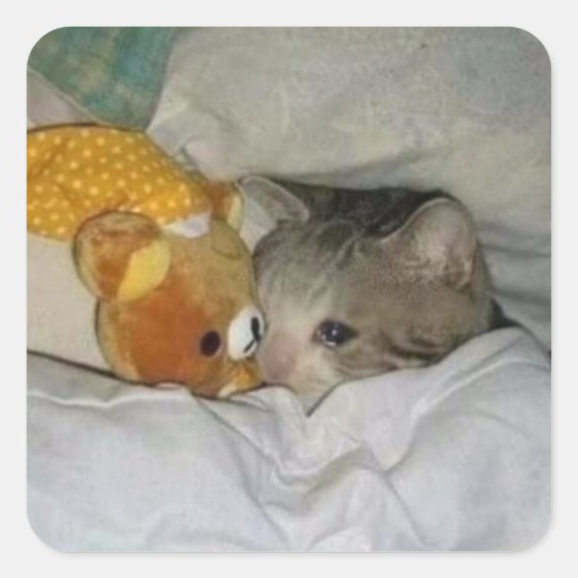 sad cat in bed square sticker (Front)