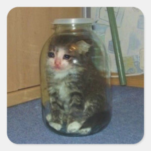 sad cat in jar square sticker