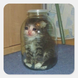 sad cat in jar square sticker
