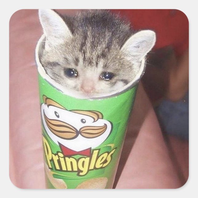 sad cat in pringles can square sticker (Front)