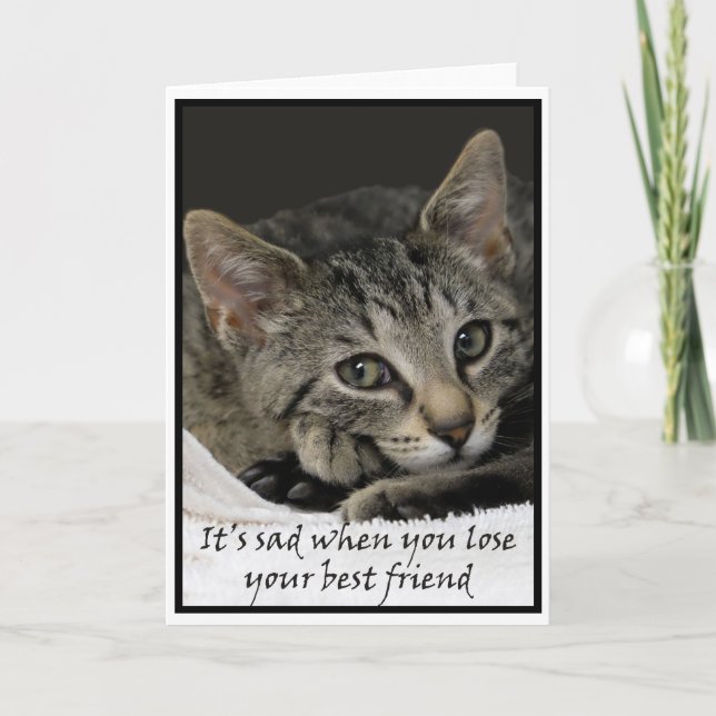 Sad cat offers condolences on the loss of a pet card (Front)
