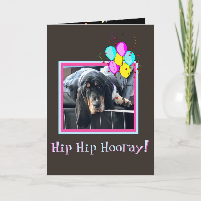 Sad & Cute Basset On Funny Birthday Card W/Balloon (Front)