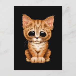 Sad Cute Orange Tabby Kitten Cat on Black Postcard