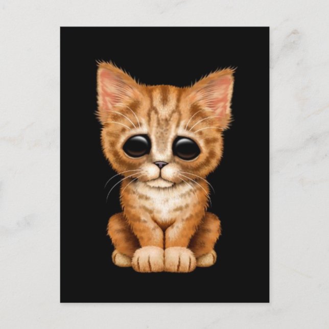 Sad Cute Orange Tabby Kitten Cat on Black Postcard (Front)