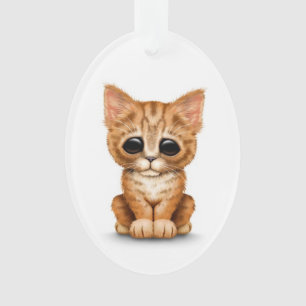 Sad Cute Orange Tabby Kitten Cat on White Ornament
