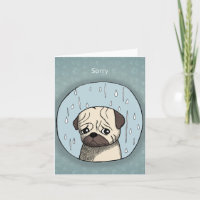 Sad Cute Pug Dog in Rain Apologies Funny Sorry 