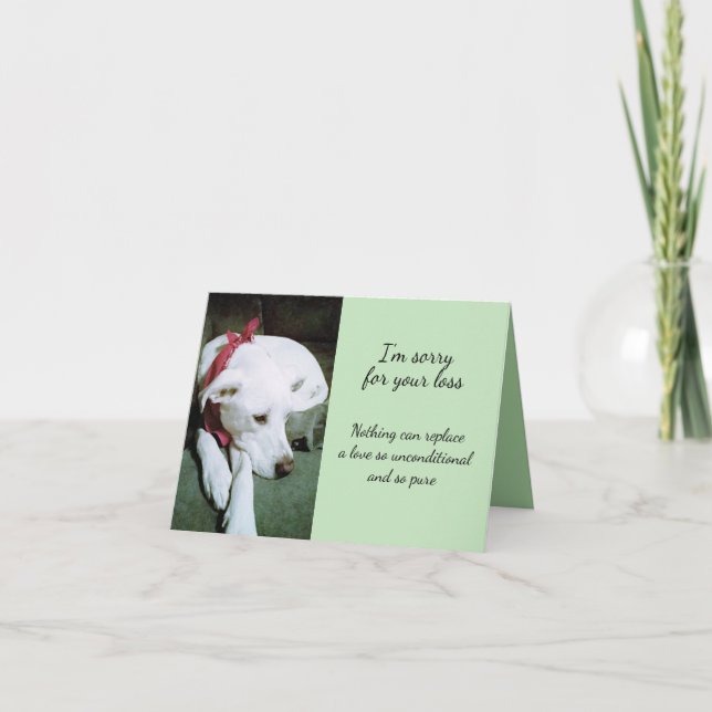 Sad Cute White Dog Sorry for Loss Sympathy Card (Front)