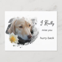 *~ Sad Dog AP61 Flower Miss You Hurry