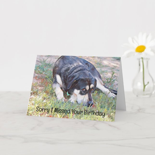Sad Dog Missed Birthday Belated Birthday Card (Small Plant)