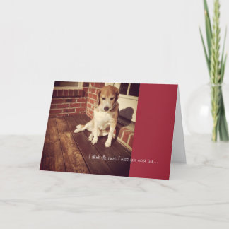 Sad dog missing you card
