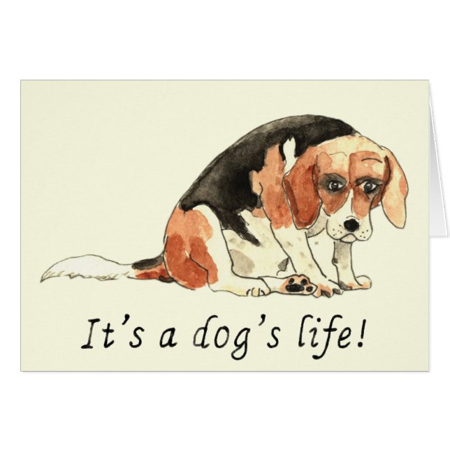 Sad Dog watercolor and life quote (Front Horizontal)