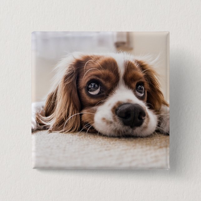 Sad-Eyed Cocker Spaniel Dog 15 Cm Square Badge (Front)