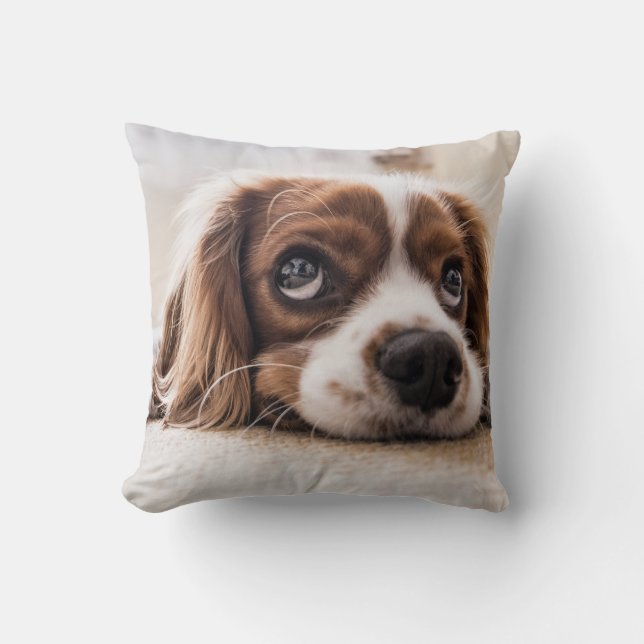 Sad-Eyed Cocker Spaniel Dog Cushion (Front)