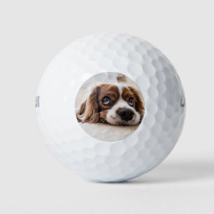 Sad-Eyed Cocker Spaniel Dog Golf Balls