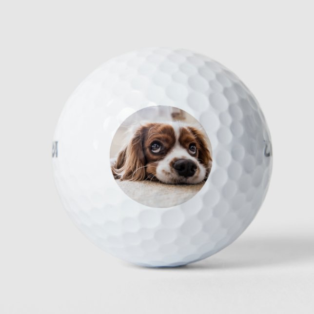 Sad-Eyed Cocker Spaniel Dog Golf Balls (Front)