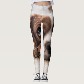 Sad-Eyed Cocker Spaniel Dog Leggings