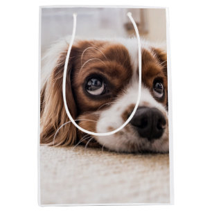 Sad-Eyed Cocker Spaniel Dog Medium Gift Bag