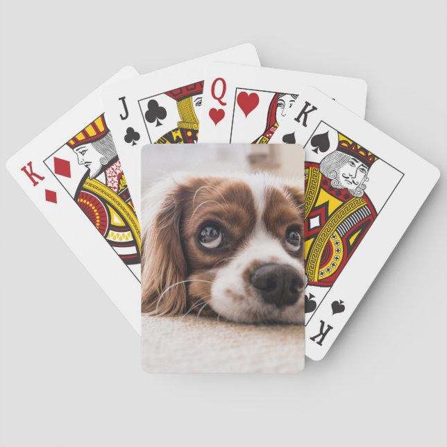 Sad-Eyed Cocker Spaniel Dog Playing Cards (Back)