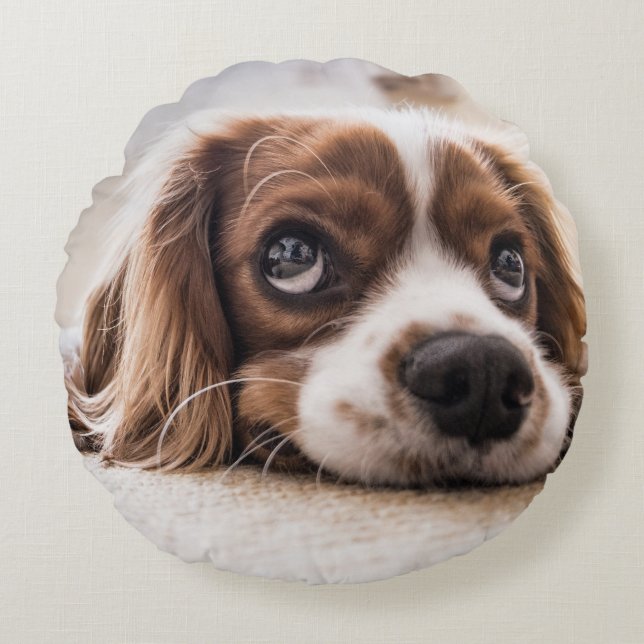 Sad-Eyed Cocker Spaniel Dog Round Cushion (Front)