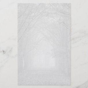 Sad forest path in the fog stationary stationery