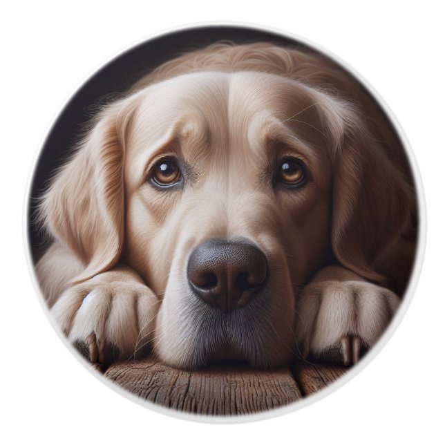Sad Golden Labrador Retriever Dog Pet Animal Ceramic Knob (Front)