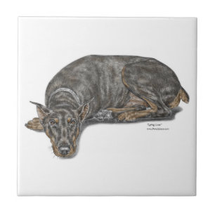 Sad Guilty Looking Doberman Ceramic Tile