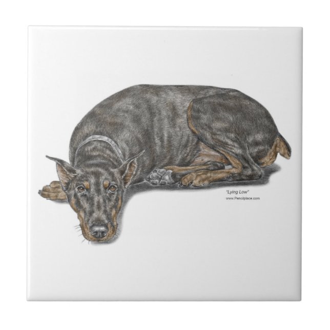 Sad Guilty Looking Doberman Ceramic Tile (Front)