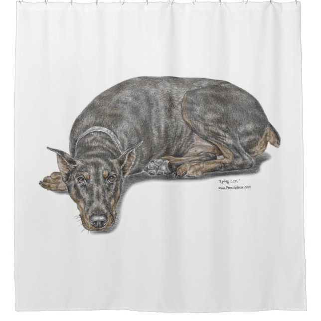 Sad Guilty Looking Doberman Shower Curtain (Front)