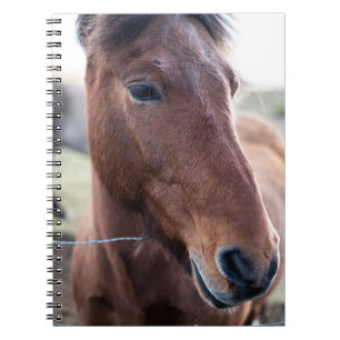 SAD HORSE NOTEBOOK