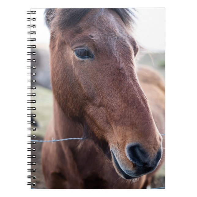 SAD HORSE NOTEBOOK (Front)