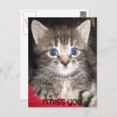 Sad Kitten - I MISS YOU Postcard (Front/Back)