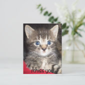 Sad Kitten - I MISS YOU Postcard (Standing Front)