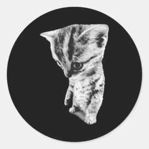 Sad Kitten Meme Standing Cat Silly Funny Cat Lover Classic Round Sticker