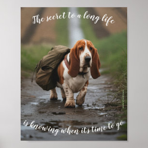 Sad & Lonely Pets Poster Print:  Basset Secret