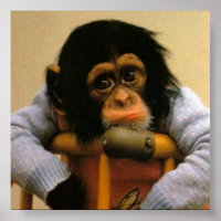 Sad monkey picture poster