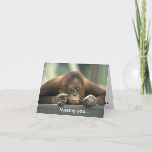 Sad Orangutan Missing You Card