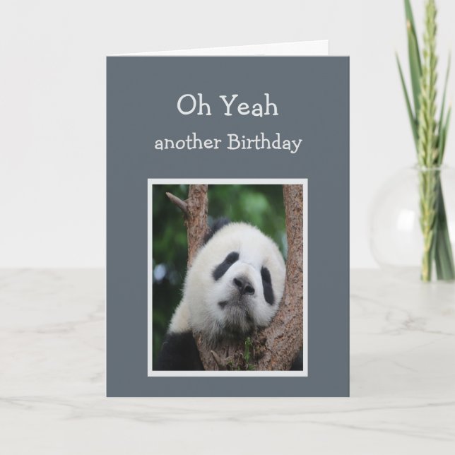 Sad Panda Bear Birthday Humour Card (Front)