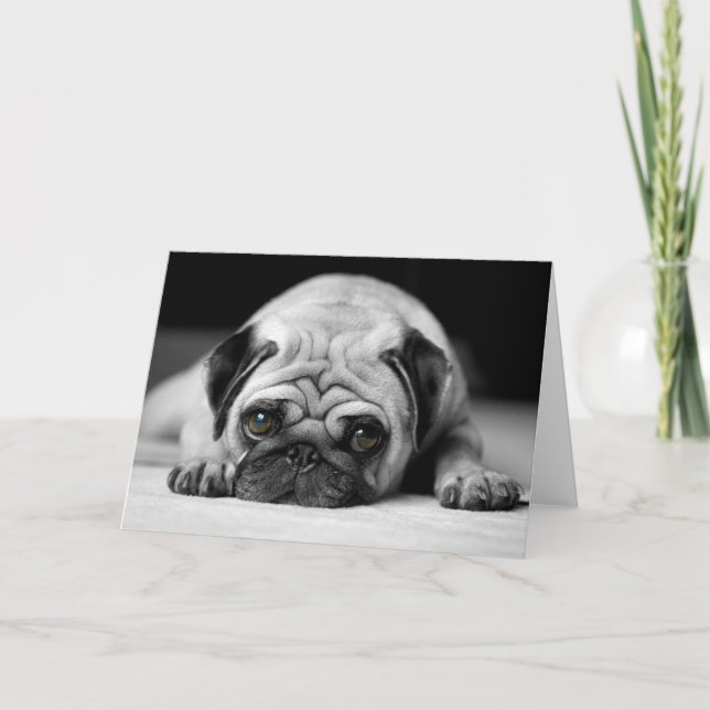 Sad Pug Card (Front)