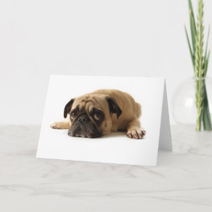 Sad Pug Card