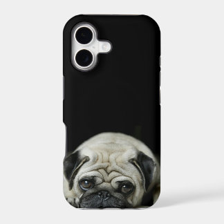 sad pug iphone 5 case