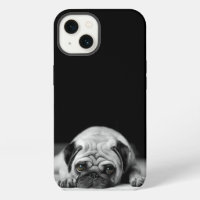 Sad Pug